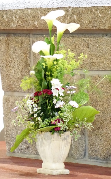 vase de fleurs blanches