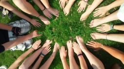 hand-tree-grass-group-people-plant-954284-pxhere.com
